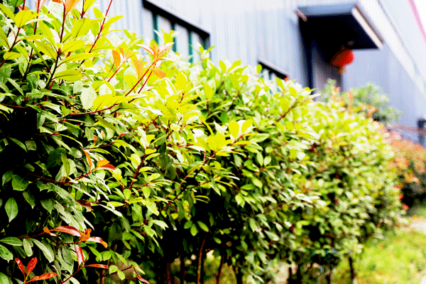 天然居硅藻泥第22期營銷培訓(xùn)圓滿結(jié)業(yè)